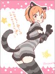  :d animal_ears blush capelet cat_ears cat_tail commentary_request dress elbow_gloves fake_animal_ears fang fur_trim gloves hoshizora_rin looking_at_viewer looking_back love_live! love_live!_school_idol_project open_mouth orange_hair paw_gloves paws saku_usako_(rabbit) short_hair smile solo star striped striped_dress striped_gloves striped_legwear striped_tail tail thighhighs translated twitter_username 