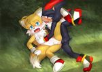  anal anal_penetration anthro anus balls canine duo fairwind fox hedgehog male male/male mammal miles_prower penetration penis shadow_the_hedgehog sonic_(series) 