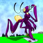  ambiguous_gender ant arthropod duo female insect macro monster slushy solo_focus vore 