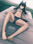  :d animal_ears bare_legs barefoot bee_(deadflow) black_hair blue_eyes blue_shorts blush buttons cutoffs denim denim_shorts dutch_angle feet flat_chest foreshortening fox_ears fox_tail futon grey_shirt highres navel open_clothes open_fly open_mouth open_shirt shirt short_shorts short_sleeves shorts smile soles solo spread_legs stomach sweat tail tatami thighs toes tongue tongue_out unbuttoned 