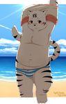  beach black_fur blush bulge clothing cloud cub feline fur humanoid_penis looking_at_viewer male mammal obese overweight panties penis penis_base red_eyes seaside sky solo standing sun tiger underwear undressing water white_fure young 萌の傻蛋熊 