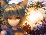  :&lt; animal_ears blonde_hair fox_ears frills nagare short_hair solo tabard touhou yakumo_ran yellow_eyes 