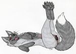  2016 animal_genitalia animal_pussy canine canine_pussy clitoris female feral fox fur grey_fur legs_up looking_at_viewer lying mammal on_back paper-wings pussy red_eyes solo 
