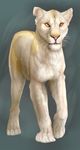  feline lion mammal realistic sumari sumari_(character) yellow_eyes 