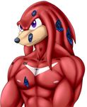  abs android barcode biceps damage echidna knuckles_the_echidna libra-11 machine male mammal monotreme muscular nipples pecs purple_eyes robot robotic_reveal smile solo sonic_(series) tattoo 