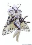  alessandro_poli antennae arthropod black_eyes breasts exoskeleton fur insect moth multi_arm multi_limb neck_tuft simple_background tuft wings 