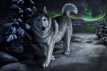  ambiguous_gender aura black_fur canine cyan_eyes detailed_background feral fur grey_fur looking_at_viewer mammal night outside paws sidonie sky snow solo standing tree white_fur wolf 