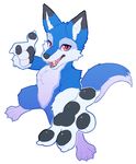  anthro blue_fur canine chest_tuft featureless_crotch fur looking_at_viewer male mammal nude pose seel_kaiser simple_background solo tuft white_background wolf 