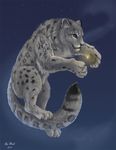 2011 ambiguous_gender blue_eyes feline feral flashw floating fur leopard mammal night sky solo spots star white_fur 