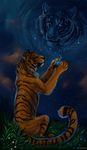  2012 ambiguous_gender blue_eyes detailed detailed_background feline feral flashw magic mammal night outside pawpads paws realistic sky star stripes tiger yellow_eyes 
