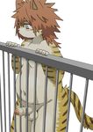  5_fingers balls censored erection feline fence grey_eyes hair humanoid_penis male mammal moobs obese overweight partially_retracted_foreskin penis red_hair simple_background solo standing tiger uncut しらたま 
