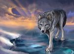  ambiguous_gender black_fur black_nose blue_eyes canine claws detailed_background feral flashw fur grey_fur ice mammal outside paws sun sunlight walking white_fur winter wolf 