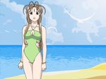  aa_megami-sama beach belldandy sky summer swimsuit vector water 