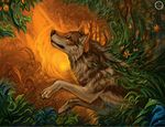  amber_eyes ambiguous_gender black_nose brown_fur canine claws detailed_background detailed_foreground dew feral flashw forest fur lizard mammal multicolored_fur paws reptile scalie solo tagme tree two_tone_fur wolf 