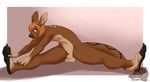  2016 animal_genitalia anthro balls blue_eyes brown_fur ekbellatrix fully_sheathed fur hair kangaroo male mammal marsupial nude sheath simple_background smile solo spots spread_legs spreading 