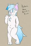  2016 aetherouranos anthro avian bird canine fox fur invalid_tag male mammal nude paws robin simple_background solo 