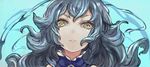  bad_id bad_twitter_id blue_background blue_hair erune face ferry_(granblue_fantasy) granblue_fantasy long_hair p-rus parted_lips solo upper_body wavy_hair yellow_eyes 