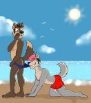  anthro beach butt canine chris_(mapdark) clothing coppertone duo male male/male mammal mapdark muscular muscular_male outside parody seaside swimsuit ted_(mapdark) wolf 