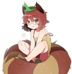  animal_ears bare_shoulders blush brown_eyes brown_footwear brown_hair brown_shorts camisole collarbone commentary_request fukurahagi_uomaru full_body futatsuiwa_mamizou glasses indian_style leaf leaf_on_head looking_at_viewer pince-nez raccoon_ears raccoon_tail shoes shorts sitting sleeveless smile solo star strap_slip tail touhou younger 
