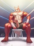  2016 5_toes abs after_masturbation anthro arm_wraps balls biceps big_muscles black_nose body_hair boxer_briefs brown_fur brown_nipples canine chair claws clothed clothing cum cum_on_balls cum_on_chest cum_on_self cum_on_stomach cumshot digital_media_(artwork) erection eyes_closed fangs fighting_ring fur happy_trail hi_res humanoid_penis male mammal multicolored_fur muscular muscular_male navel nipples open_mouth orgasm pecs penis penis_through_fly plantigrade poking_out raccoon21 rope signature sitting solo sweat tattoo teeth toe_claws toes topless two_tone_fur underwear vein veiny_penis white_fur wolf wraps 