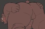 12beat13 anthro anus balls bear beat_you_(artist) big_butt blush butt colored fur grey_background looking_at_viewer male mammal mooning nude penis presenting presenting_hindquarters rear_view simple_background solo spreading 