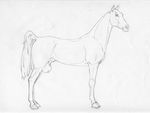  2014 animal_genitalia balls black_and_white equine feral fully_sheathed hooves horse looking_at_viewer male mammal monochrome pencil_(artwork) quadruped sheath side_view simple_background solo traditional_media_(artwork) white_background whitemalamut 