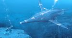  alien bubble coral diving_gear fish flaps flippers invalid_tag marine predator rock scuba sea swiming water 