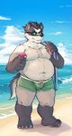  badger beach bulge clothing eyewear fur glasses male mammal mustelid navel overweight seaside shorts sky snowcone solo standing towel water white_fur zangusuu 