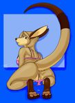  2016 all_fours anus bottomless brown_fur clothed clothing female fur green_eyes looking_at_viewer looking_back mammal marsupial os panties panties_down presenting pussy raised_tail solo underwear wallaby 