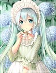  absurdres aqua_eyes aqua_hair bonnet character_name chin_strap cup floral_background flower frilled_sleeves frills hatsune_miku highres holding holding_cup hydrangea lolita_fashion long_hair looking_at_viewer rhode skirt solo teacup twintails very_long_hair vocaloid 