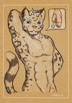  2016 anthro balls blue_eyes feline fur hair leopard looking_at_viewer male mammal nipples nude open_mouth pencil_(artwork) penis simple_background smile snow_leopard solo speech_bubble spots teeth tolbi traditional_media_(artwork) uncut white_fur 