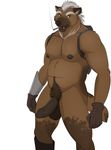  2016 animal_genitalia animal_penis anthro balls big_balls black_nose brown_fur brown_hair canine chest_tuft cigarette clothed clothing erection facial_hair fur gloebis gloves green_eyes hair hi_res male mammal muscular nipples nude penis phroxsus_(character) slightly_chubby smoking solo teeth tuft wolf 