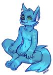  2016 alpha_channel anthro blue_fur canine featureless_crotch fur green_eyes looking_at_viewer lukiri male mammal nude open_mouth simple_background sitting smile solo spread_legs spreading transparent_background 