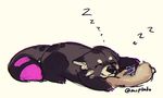  cute eyes_closed feral lukiri male mammal pillow red_panda simple_background sleeping smile solo 
