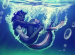  anthro canine featureless_crotch looking_at_viewer lukiri male mammal nude smile solo underwater water 