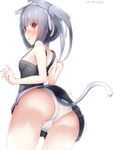  alternate_costume animal_ears bare_arms bare_shoulders boruhis brown_eyes commentary_request grey_hair hair_ribbon kantai_collection kasumi_(kantai_collection) kemonomimi_mode long_hair panties ribbon simple_background solo tail underwear white_background white_panties 