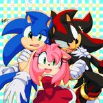  amy_rose anthro black_nose blush clothing dress english_text female footwear gloves green_eyes group hair hedgehog male mammal myly14 open_mouth pink_hair red_eyes shadow_the_hedgehog short_hair signature sonic_(series) sonic_the_hedgehog text 