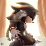  anthro black_nose clothing duo eyes_closed feline gloves hedgehog male mammal myly14 red_eyes shadow_the_hedgehog signature sonic_(series) 
