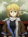  bad_id bad_pixiv_id blonde_hair expressionless face green_eyes mizuhashi_parsee pointy_ears rex_k scarf short_hair solo touhou 