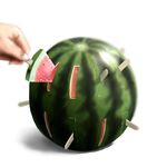  food fruit hands lowres original pop-up_pirate popsicle watermelon watermelon_bar 
