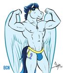  2016 abs anthro anthrofied bgn bulge clothing cutie_mark dog_tags equine eyewear facial_hair friendship_is_magic goggles jockstrap male mammal my_little_pony pegasus pose soarin_(mlp) underwear wings wonderbolts_(mlp) 