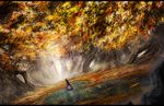  autumn_leaves bad_id bad_pixiv_id black_hair blurry depth_of_field dress dutch_angle from_behind letterboxed long_hair original outdoors ripples scenery sleeves_past_wrists solo someya_mai standing tree very_long_hair wading water 