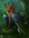  2016 amber_eyes ambiguous_gender avian bird black_nose blue_feathers canine claws day detailed_background feathered_wings feathers feral flashw forest fox fur green_feathers hybrid looking_at_viewer mammal moss outside paws peafowl sitting tan_fur tree tree_branch white_fur wings 
