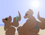  alien beach black_eyes breasts brown_fur butt camel_toe clothed clothing duo enemy_quest female fur looking_at_viewer lying mammal not_furry outside panties seaside skut tgchan topless underwear unknown_artist water 