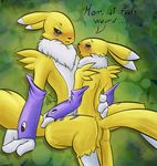  anthro blush butt canine digimon duo female fox fur hair incest male mammal nude penetration renamon sex simple_background soulcentinel 