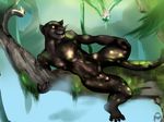  animal_genitalia animal_penis anthro bagheera_(jungle_book) balls claws digital_media_(artwork) disney feline fur jungle mammal midnight0rora penis 