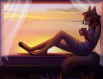  2015 4_fingers 4_toes anklet anthro black_nose bracelet canine clothed clothing cup day female fluffy fluffy_tail fox fur hair inside jewelry long_hair mammal nowandlater sky solo tan_fur toes window 
