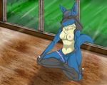  absurd_res anthro breasts canine female fur hi_res lucario mammal meditation nintendo nipples nude pok&eacute;mon pussy pussy_juice sex_toy sitting skydog solo vibrator video_games yellow_fur 