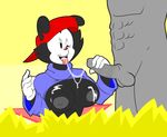  2016 animaniacs anthro areola balls big_breasts breasts clothing crossgender cum cum_on cumshot digital_media_(artwork) erection exposed_breasts female fur hair handjob happy hat hi_res huge_breasts humanoid_penis male male/female nipples open_mouth orgasm penis simple_bacground simple_background smile theicedwolf tongue wakko 