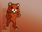  2ch 4chan bear pedobear tagme 